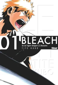 Bleach T01