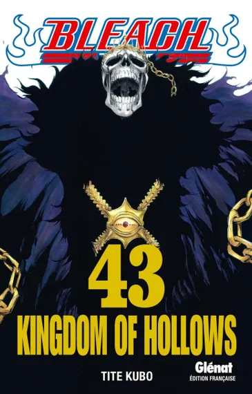 Bleach T43